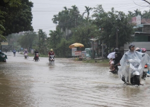 Khai thác Sơn Trà, Đà Nẵng ngập lụt, buôn người, cổ động bóng đá, nhôm ô nhiễm