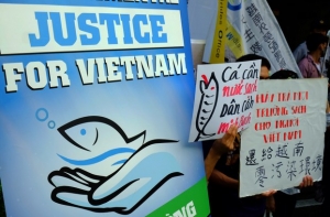 Việt Nam : Formosa, tham nhũng, người mù, dầu khí, báo chí