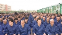Nhà tù Tân Cương : dư luận quốc tế chia rẽ