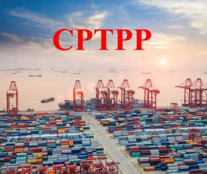 CPTPP : Cơ hội thành lập công đoàn tự do và độc lập ở Việt Nam