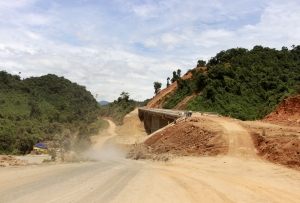 Việt Nam mất gì khi làm cao tốc xuyên rừng nguyên sinh ?