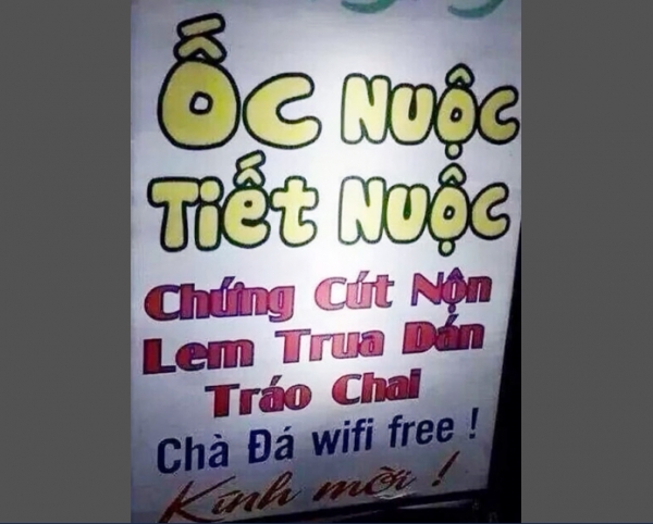 Tiếng Việt đang bị làm hỏng đi như thế nào ?