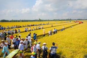 Việt Nam : Những người nông dân đứng lên giữ đất
