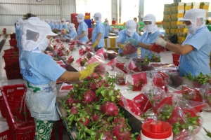 Doanh nghiệp Việt tìm cách mở rộng xuất khẩu nông phẩm sang Pháp