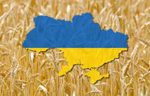 Nga cố tình phá hoại các kho dự trữ lúa mì của Ukraine