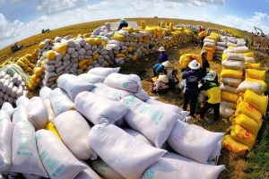 Gạo xuất khẩu Việt Nam hưởng lợi nhờ nhu cầu thế giới tăng