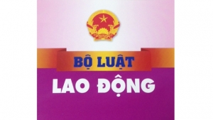 EVFTA, Việt Nam ‘làm’ Bộ luật Lao động theo quy trình ngược !