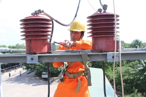 Nạn độc quyền điện lực ở Việt Nam