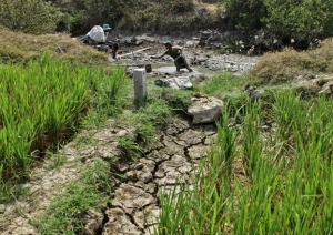 Hạ nguồn sông Mekong khô cạn vì Trung Quốc trả thù hay thiên tai ?